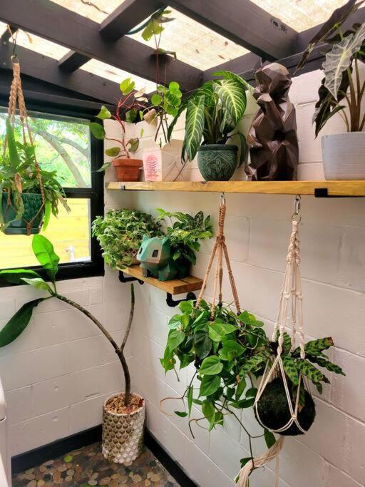 Vila Cozy Af Jungle-House Hideaway Tampa Exteriér fotografie