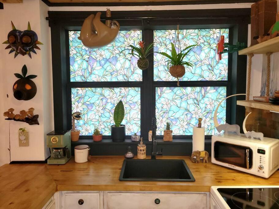 Vila Cozy Af Jungle-House Hideaway Tampa Exteriér fotografie